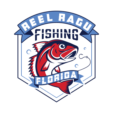 Korum Hengel Topdeals